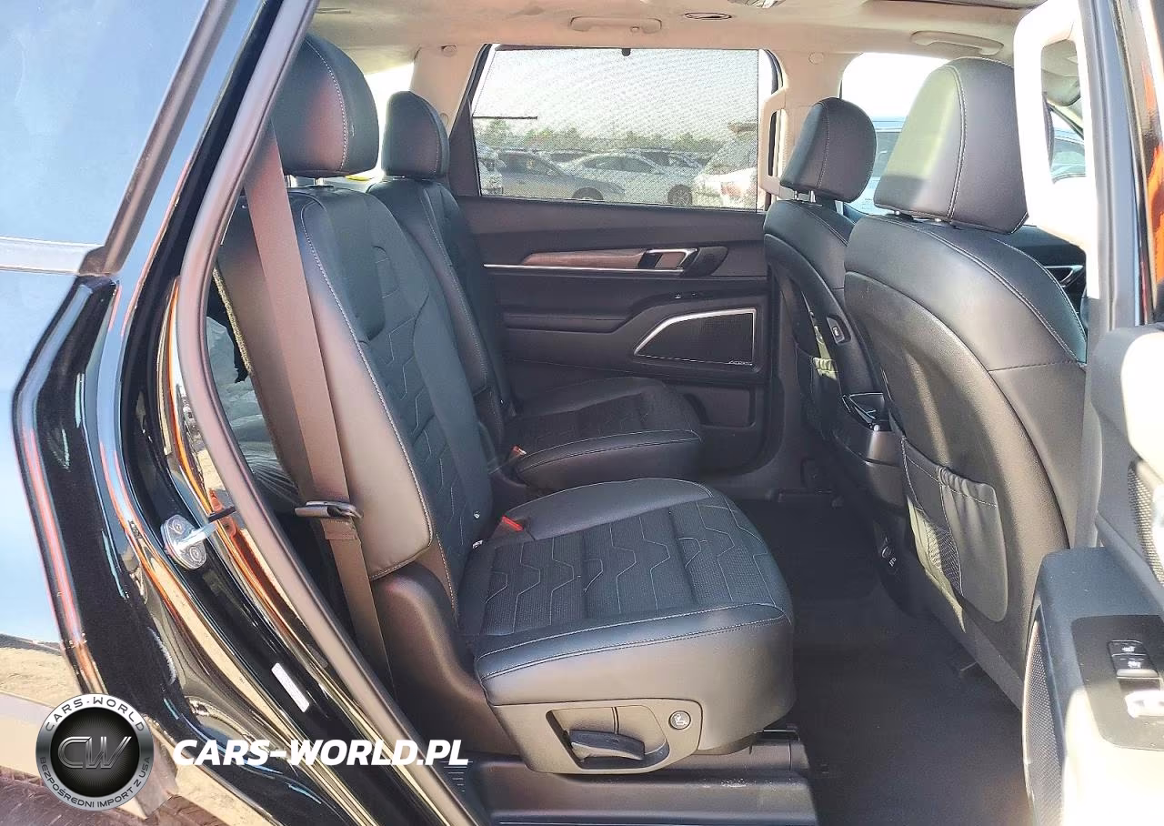 2022 Kia Telluride Sx VIN:5XYP5DHC3NG313678 - 11
