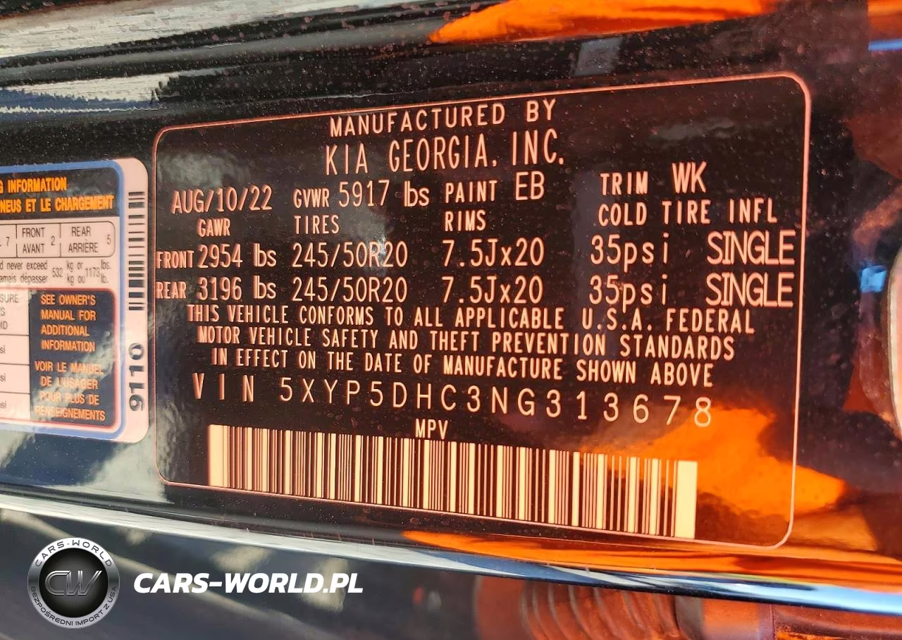 2022 Kia Telluride Sx VIN:5XYP5DHC3NG313678 - 13