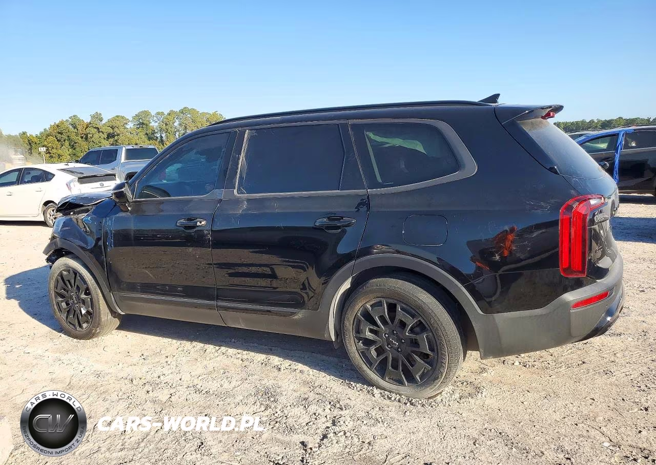 2022 Kia Telluride Sx VIN:5XYP5DHC3NG313678 - 2