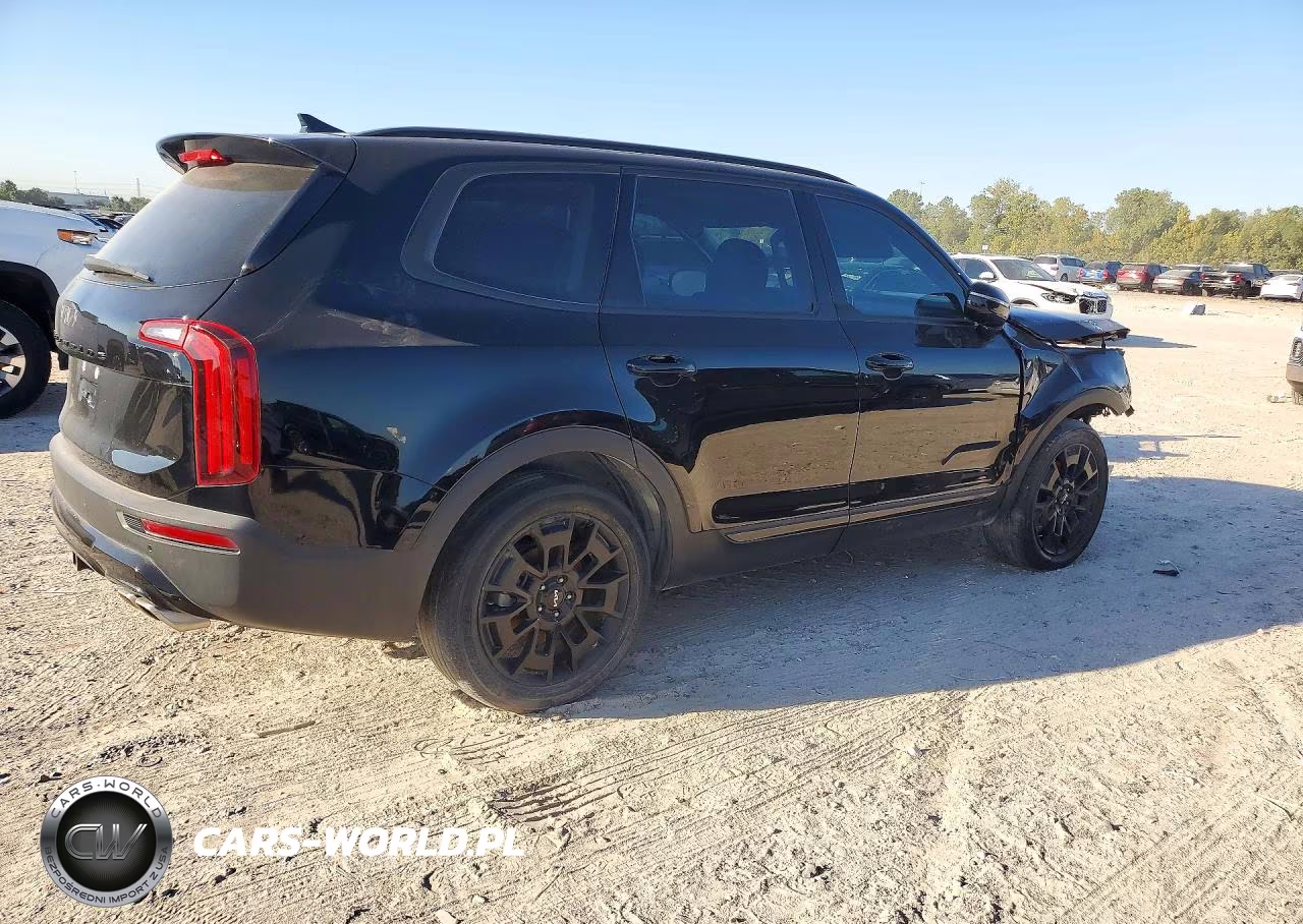 2022 Kia Telluride Sx VIN:5XYP5DHC3NG313678 - 3