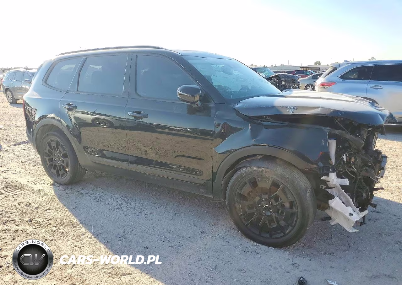2022 Kia Telluride Sx VIN:5XYP5DHC3NG313678 - 4