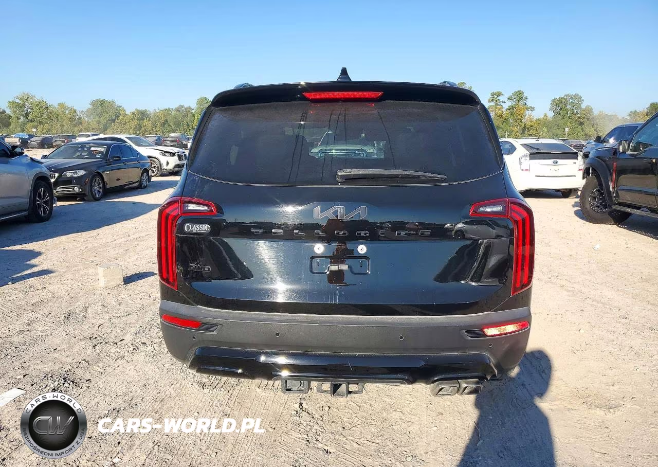 2022 Kia Telluride Sx VIN:5XYP5DHC3NG313678 - 6