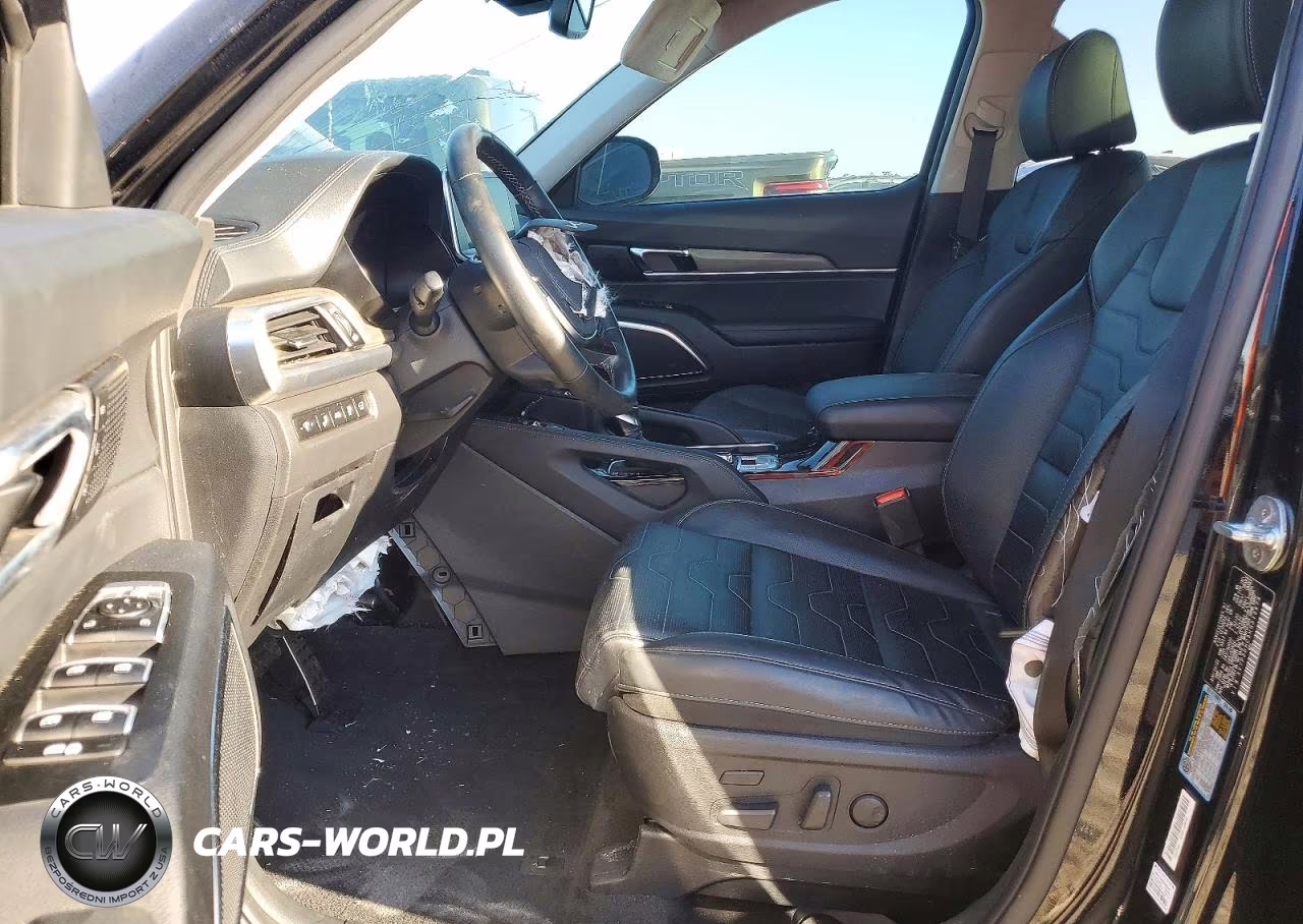 2022 Kia Telluride Sx VIN:5XYP5DHC3NG313678 - 7