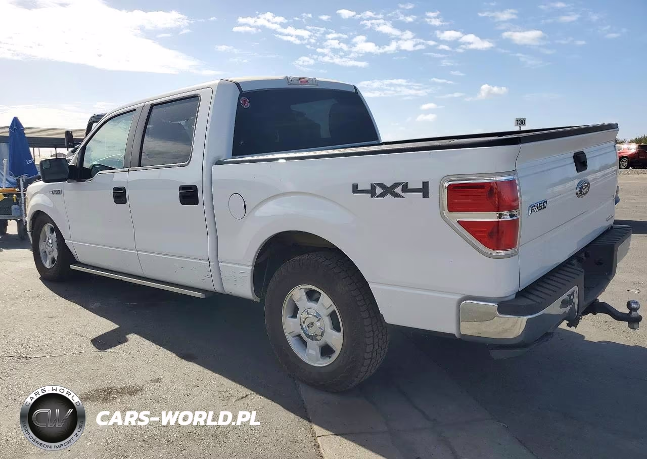 2011 Ford F150 Supercrew VIN:1FTFW1EFXBFB46109 - 2