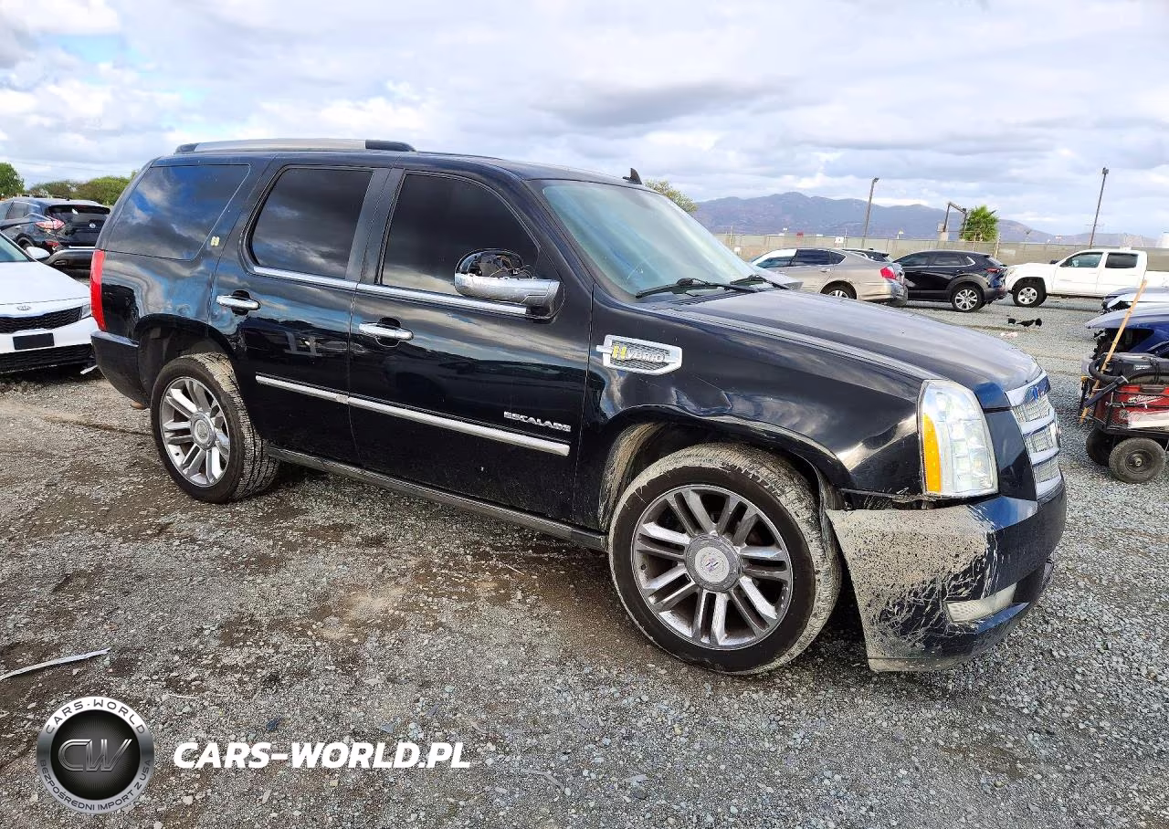 2011 Cadillac Escalade Platinum Hybrid VIN:1GYS4FEJXBR124819 - 4