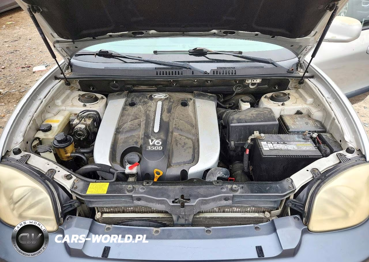 2004 Hyundai Santa Fe Gls VIN:KM8SC73E24U584959 - 12