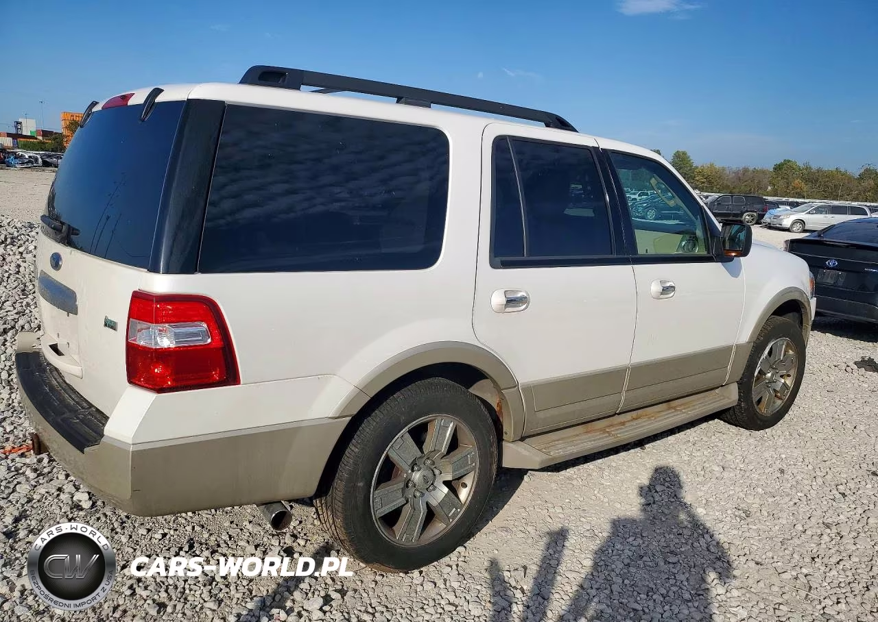 2010 Ford Expedition Eddie Bauer VIN:1FMJU1J52AEB53178 - 3