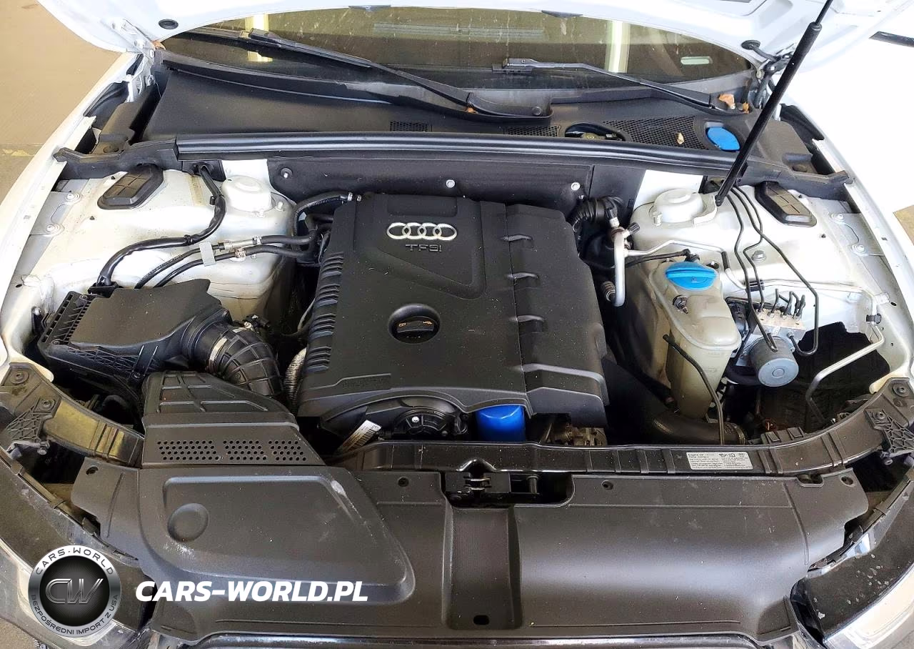 2013 Audi A5 Premium Plus VIN:WAULFAFR0DA054631 - 11