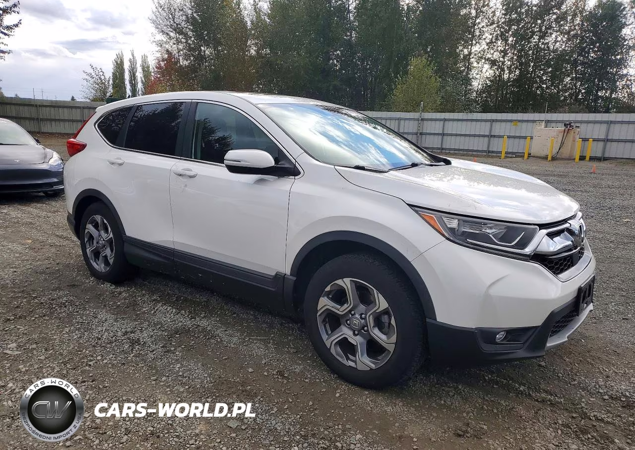 2019 Honda Cr-V Ex VIN:5J6RW2H51KA012943 - 4