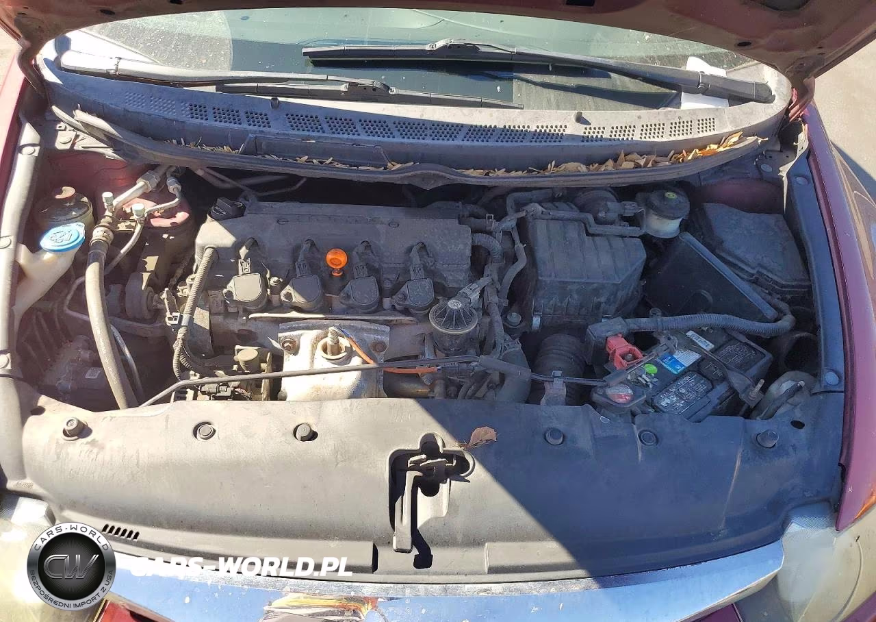 2009 Honda Civic Lx VIN:1HGFA16549L029224 - 11