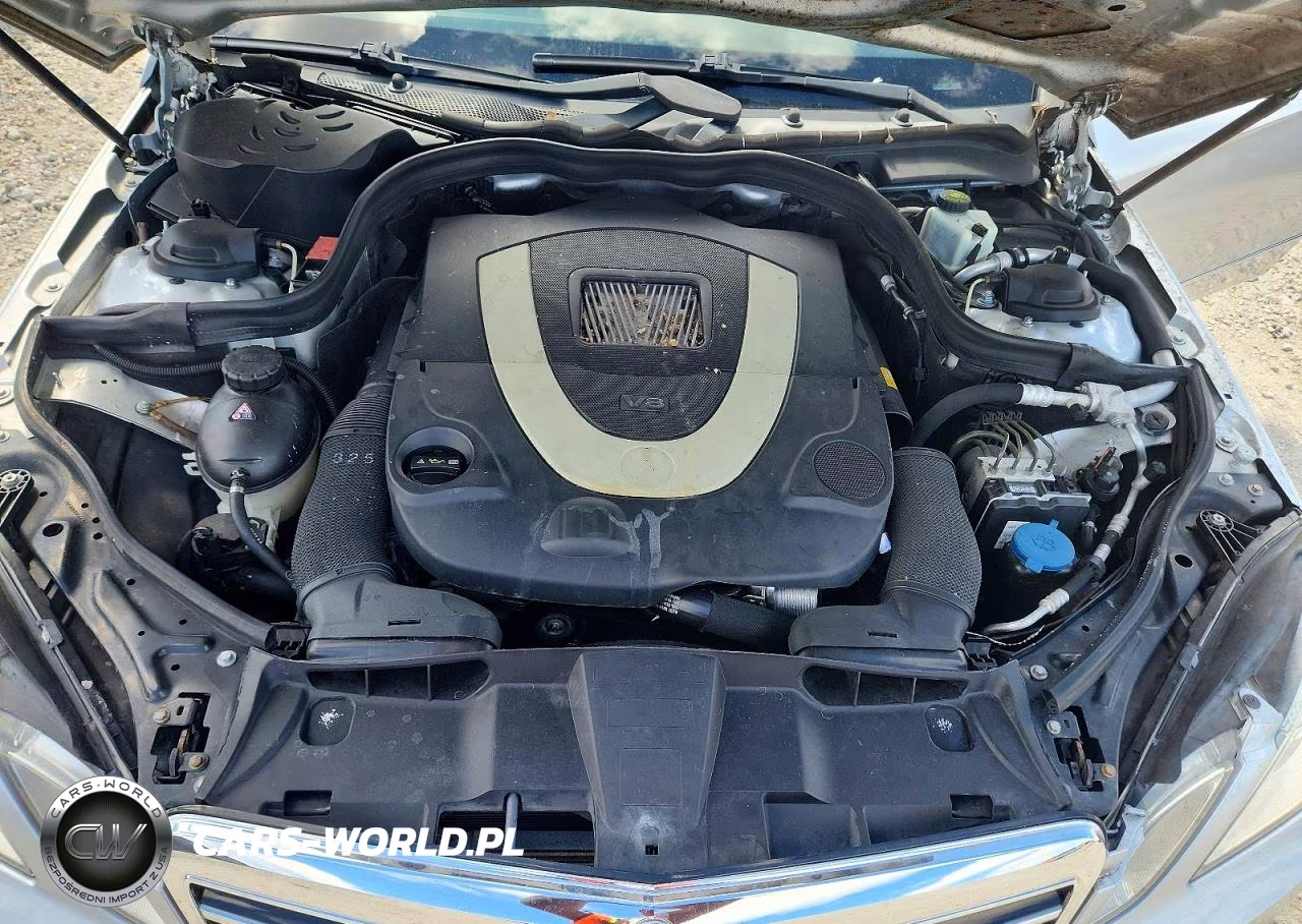 2010 Mercedes-Benz E 550 VIN:WDDHF7CB4AA197957 - 11