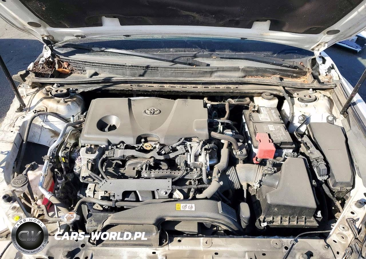 2019 Toyota Camry Le VIN:4T1B11HK1KU709755 - 11