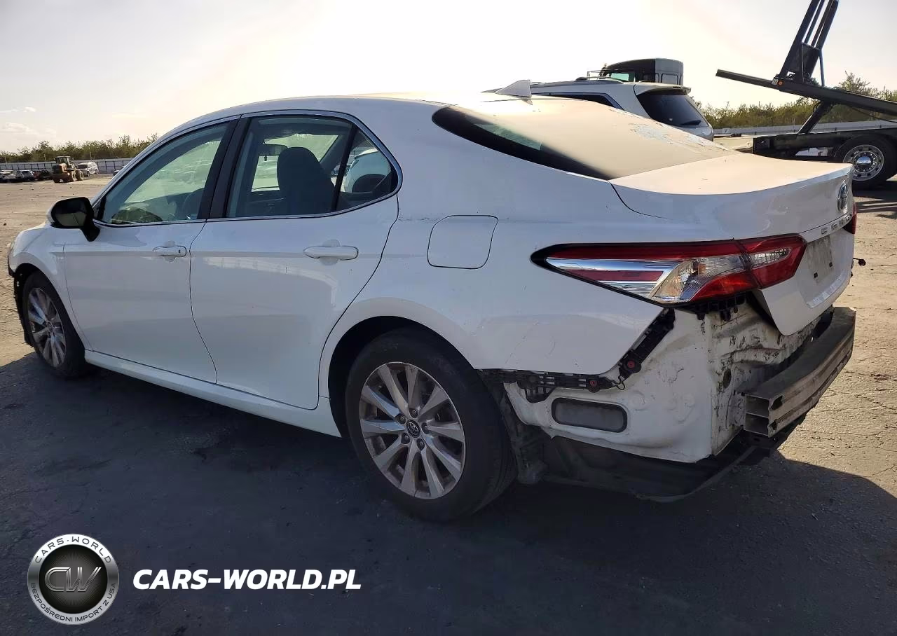 2019 Toyota Camry Le VIN:4T1B11HK1KU709755 - 2