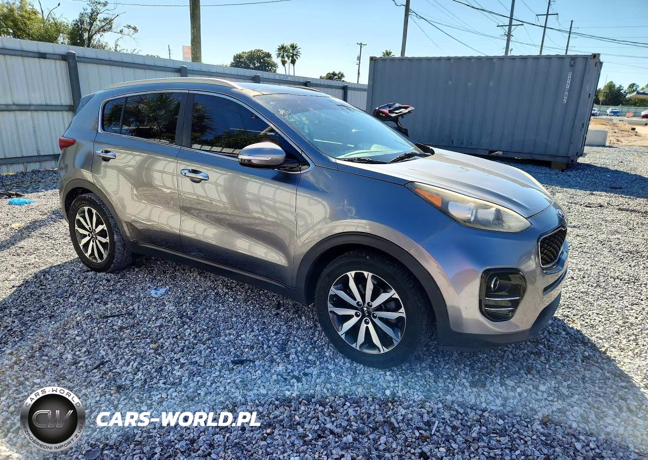 2017 Kia Sportage Ex VIN:KNDPN3AC5H7032262 - 4