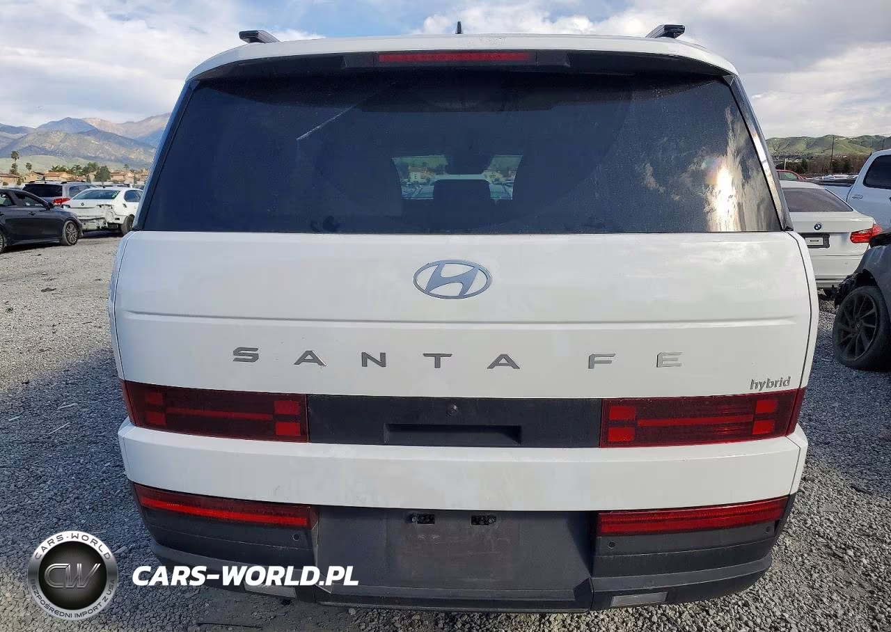2025 Hyundai Santa Fe Sel VIN:5NMP24G10SH046963 - 6