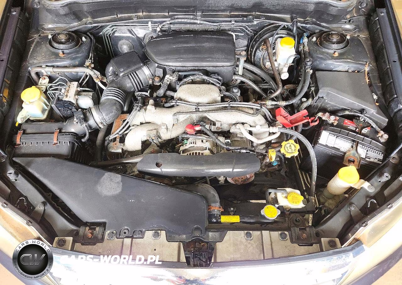 2010 Subaru Forester 2.5X Premium VIN:JF2SH6CC9AH732366 - 12