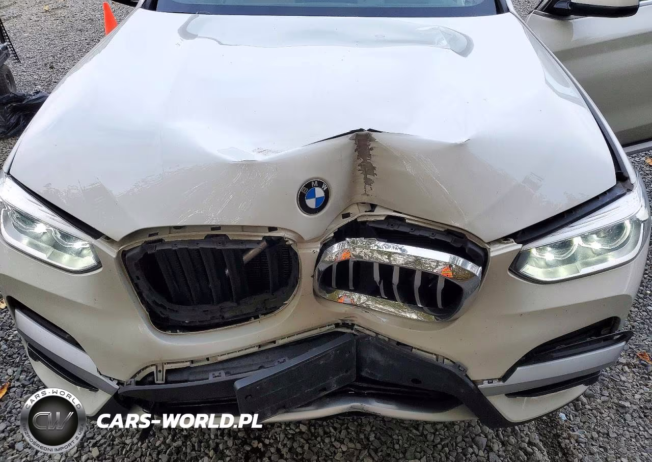 2021 BMW X3 xDrive30E VIN:5UXTS1C05M9F50595 - 12