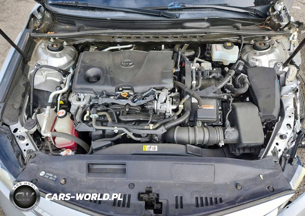 2019 Toyota Camry Le VIN:4T1B31HK7KU007689 - 11