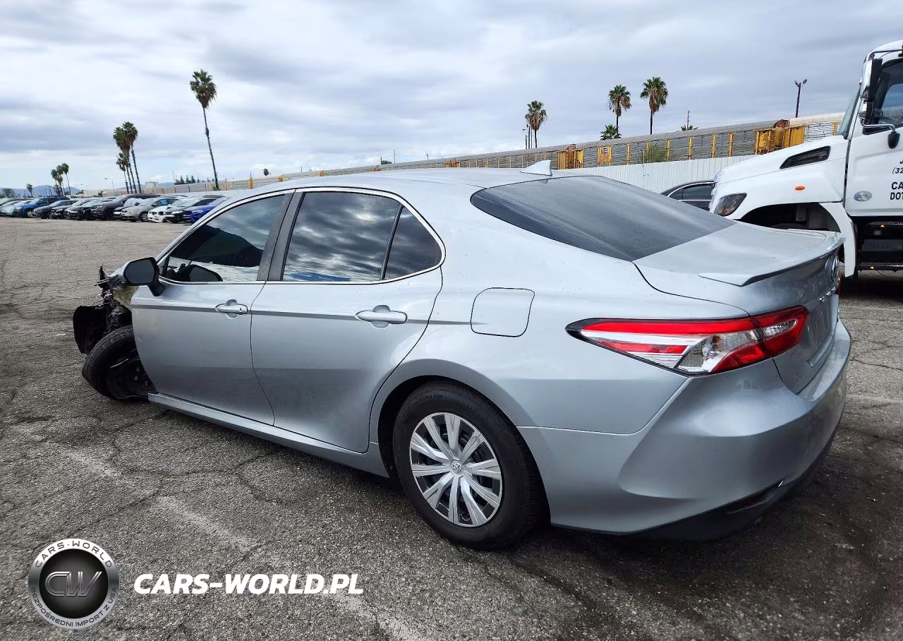 2019 Toyota Camry Le VIN:4T1B31HK7KU007689 - 2