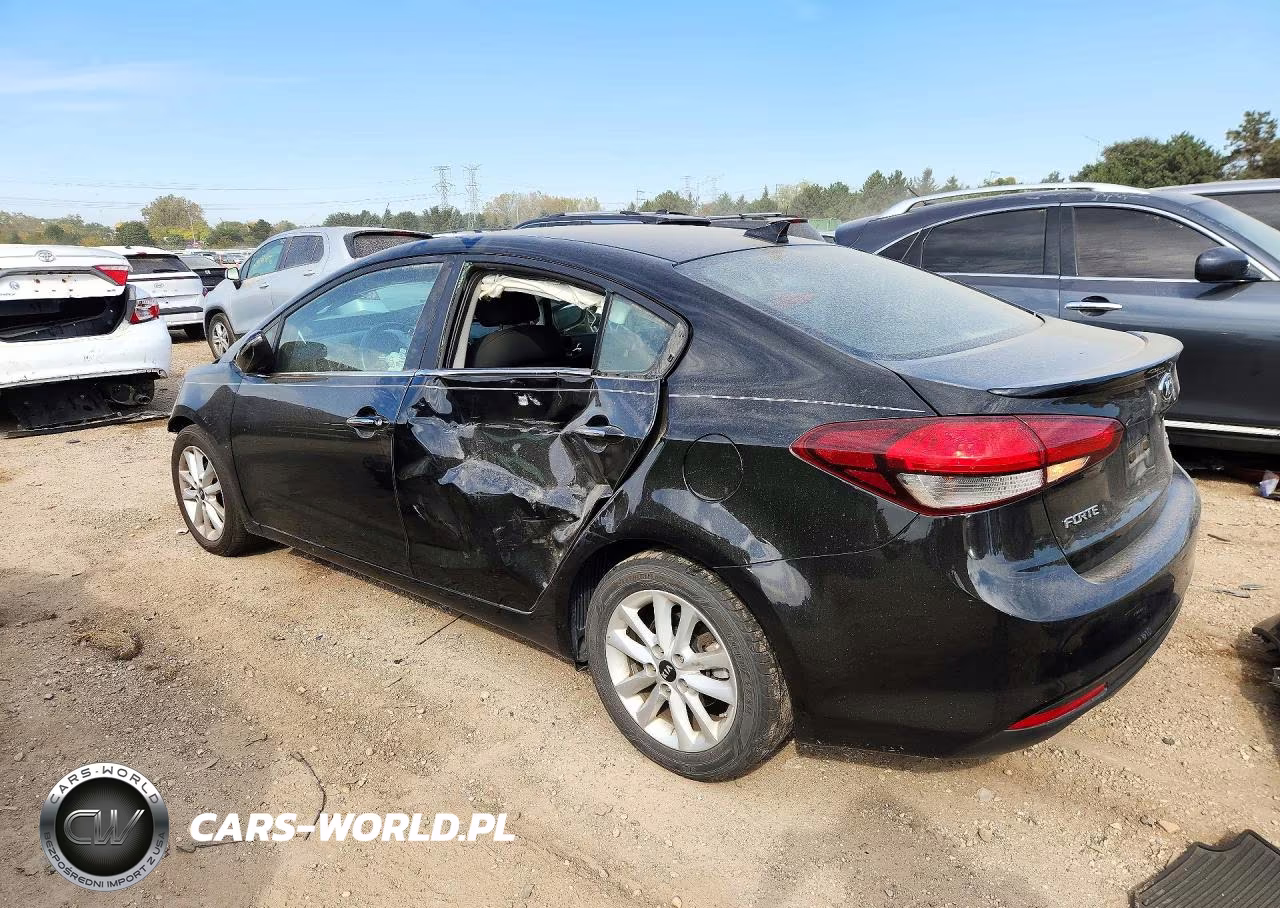 2017 Kia Forte S VIN:3KPFL4A79HE144489 - 2
