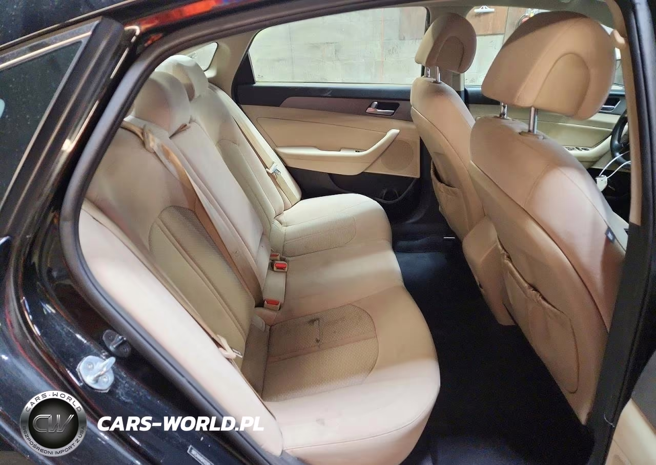 2016 Hyundai Sonata Eco VIN:5NPE24AA4GH432182 - 10