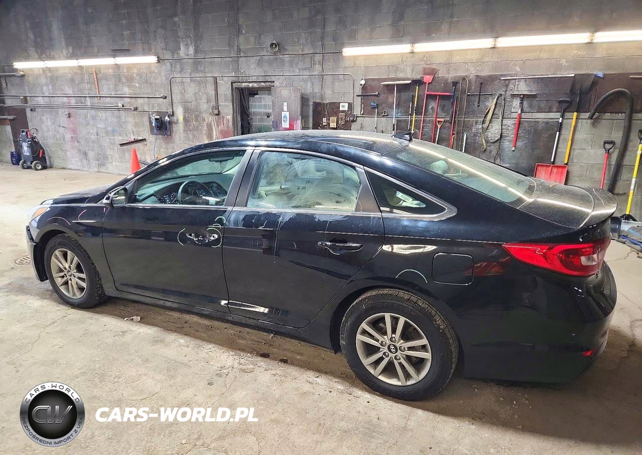 2016 Hyundai Sonata Eco VIN:5NPE24AA4GH432182 - 2