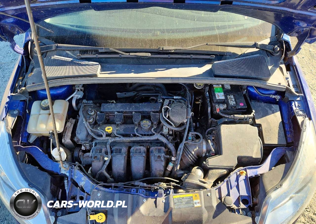 FORD FOCUS SE VIN:1FAHP3F24CL452843 - 11