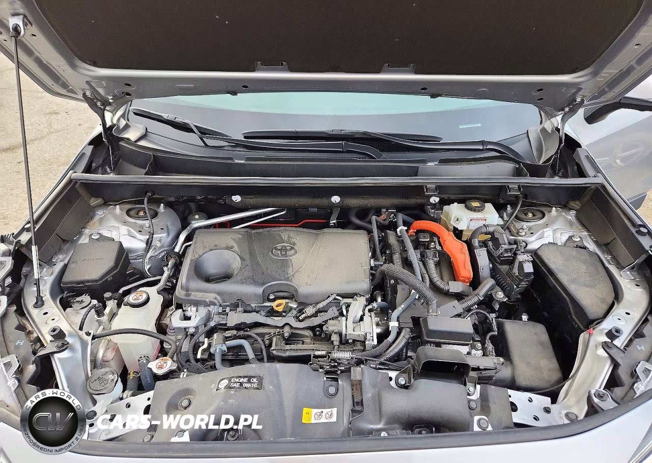 2019 Toyota Rav4 Limited VIN:2T3DWRFV9KW020771 - 12