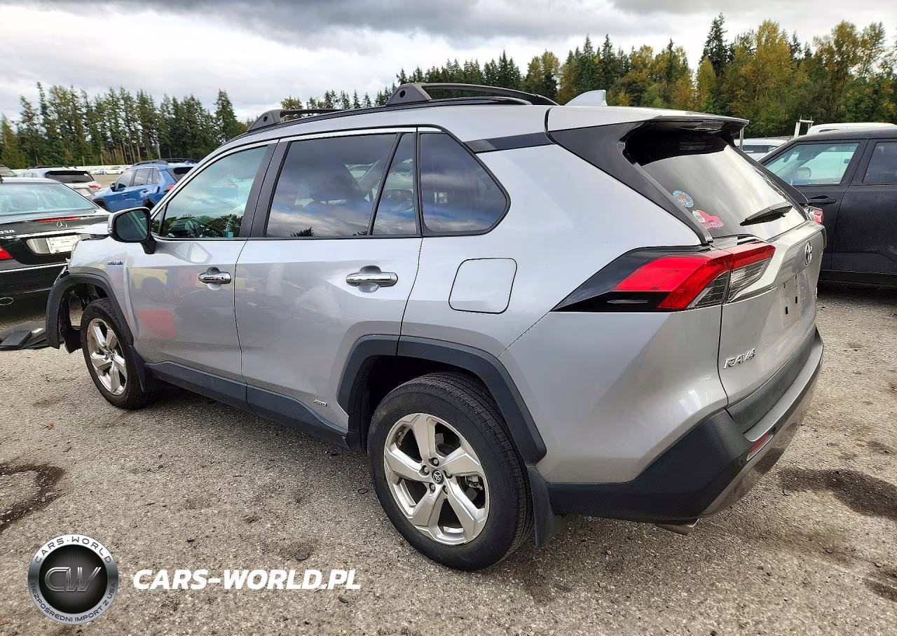 2019 Toyota Rav4 Limited VIN:2T3DWRFV9KW020771 - 2