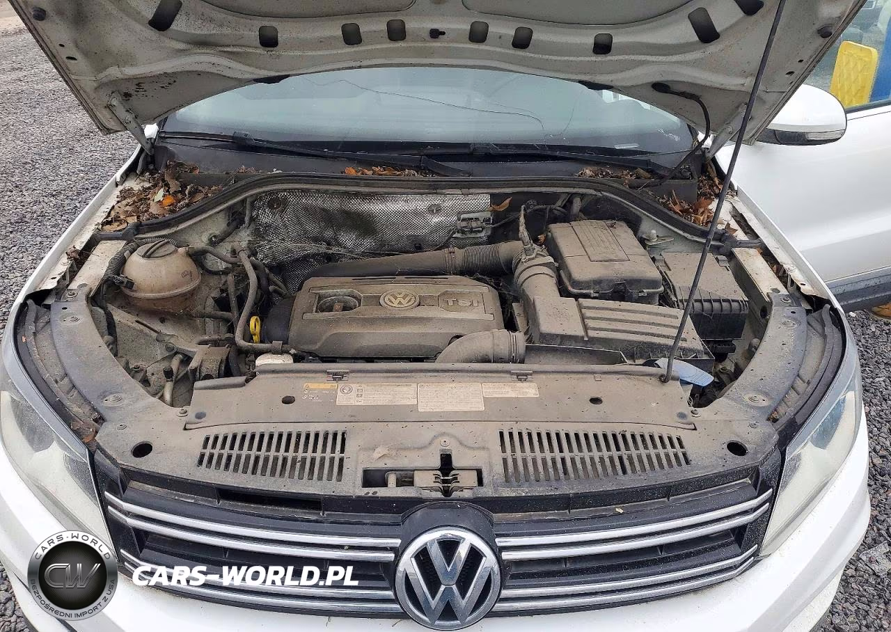 2017 Volkswagen Tiguan Wolfsburg VIN:WVGRV7AX1HW502324 - 12