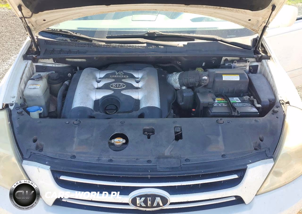 2006 Kia Sedona Lx VIN:KNDMB233466044117 - 12