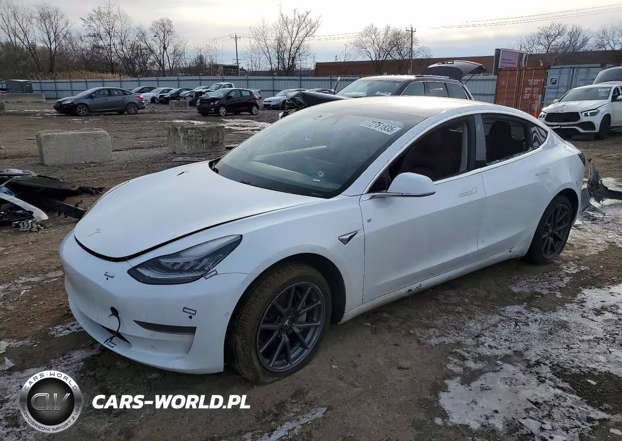 2019 Tesla Model 3