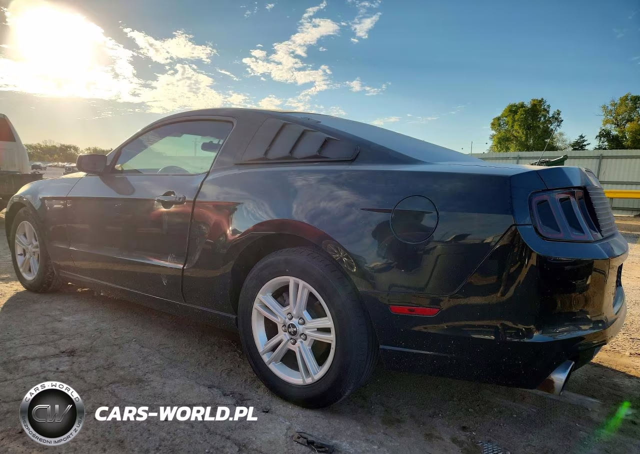 2014 Ford Mustang VIN:1ZVBP8AM5E5301973 - 2