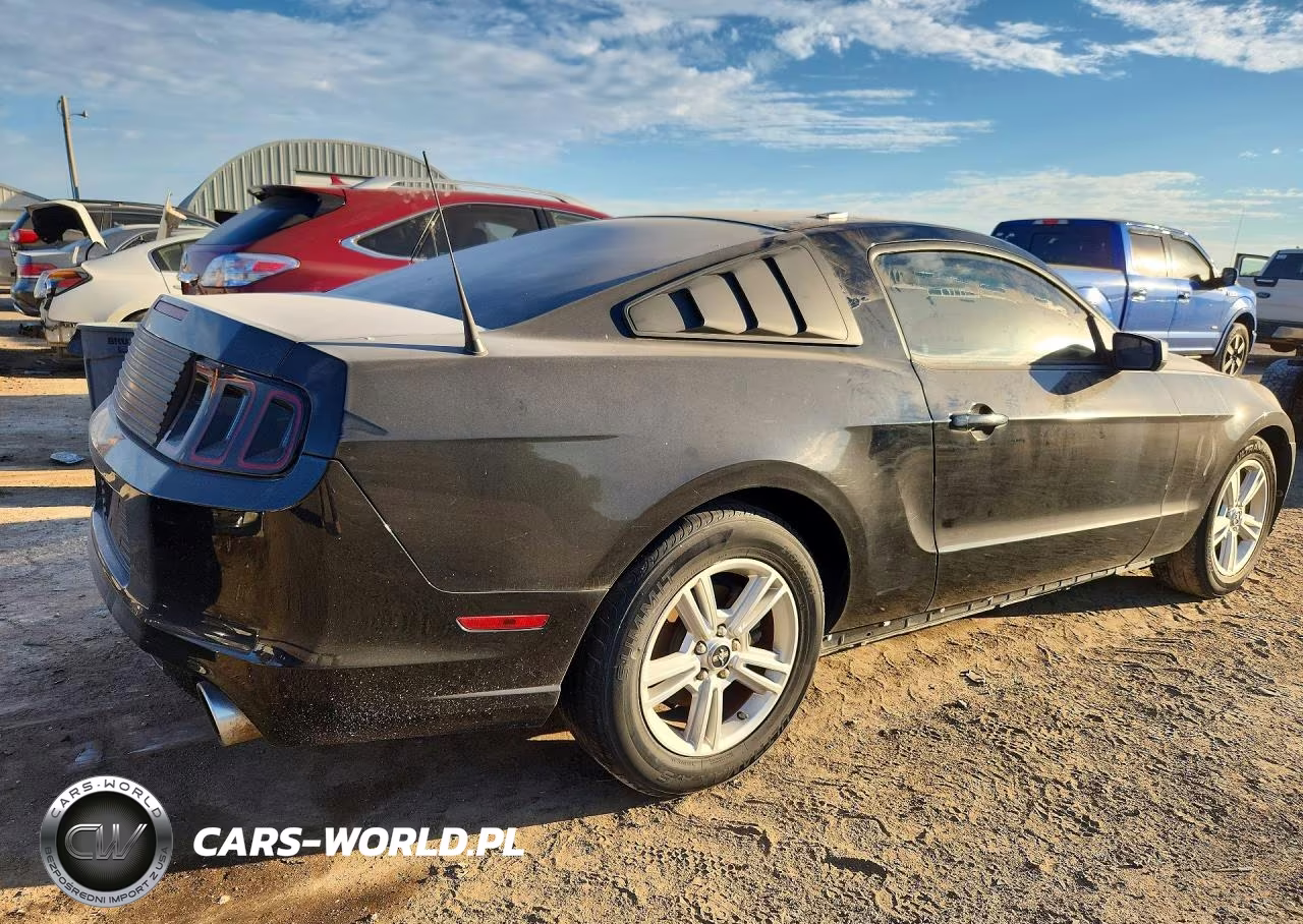 2014 Ford Mustang VIN:1ZVBP8AM5E5301973 - 3