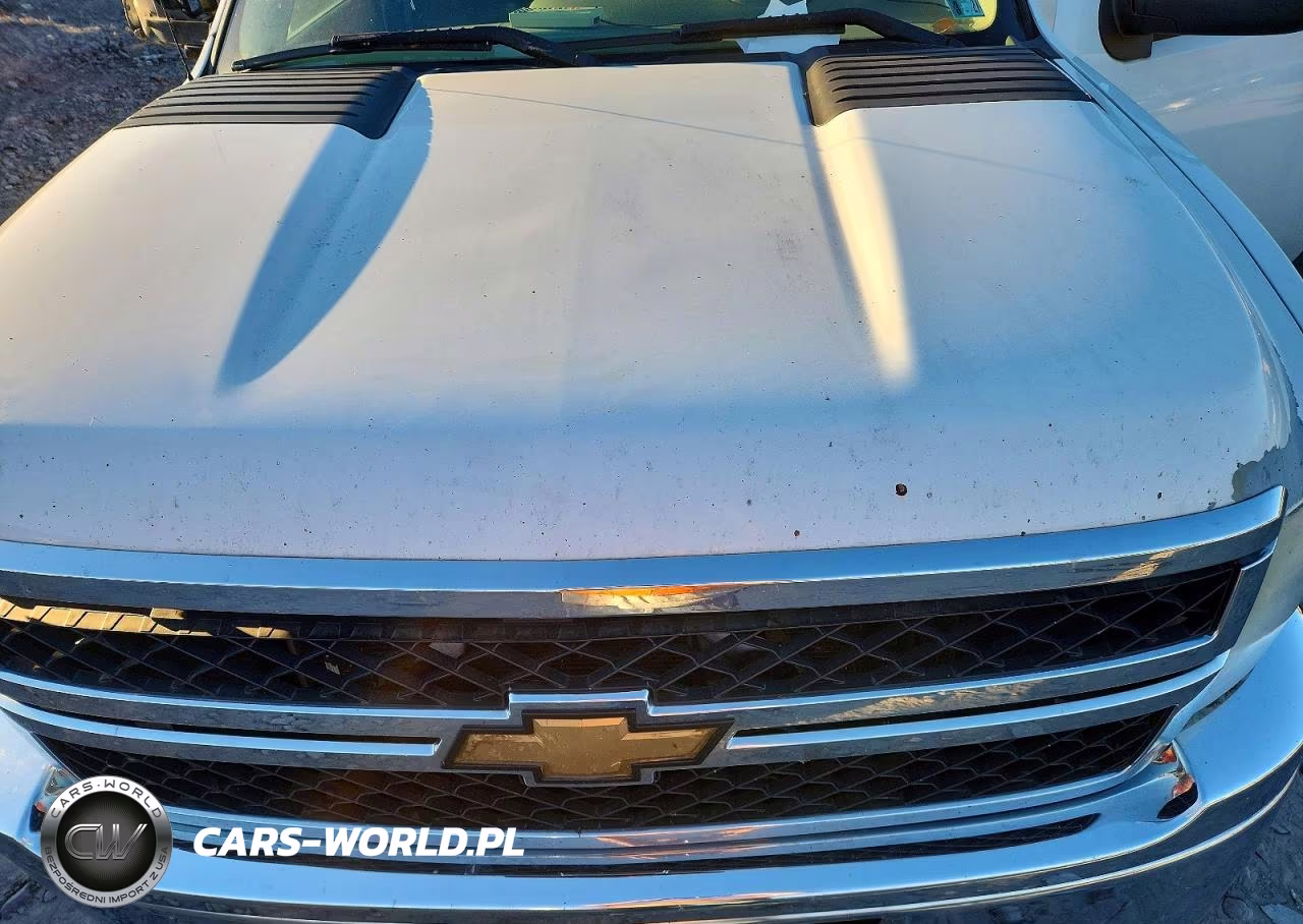 2011 Chevrolet Silverado K2500 Heavy Duty VIN:1GC1KVCG8BF101632 - 11