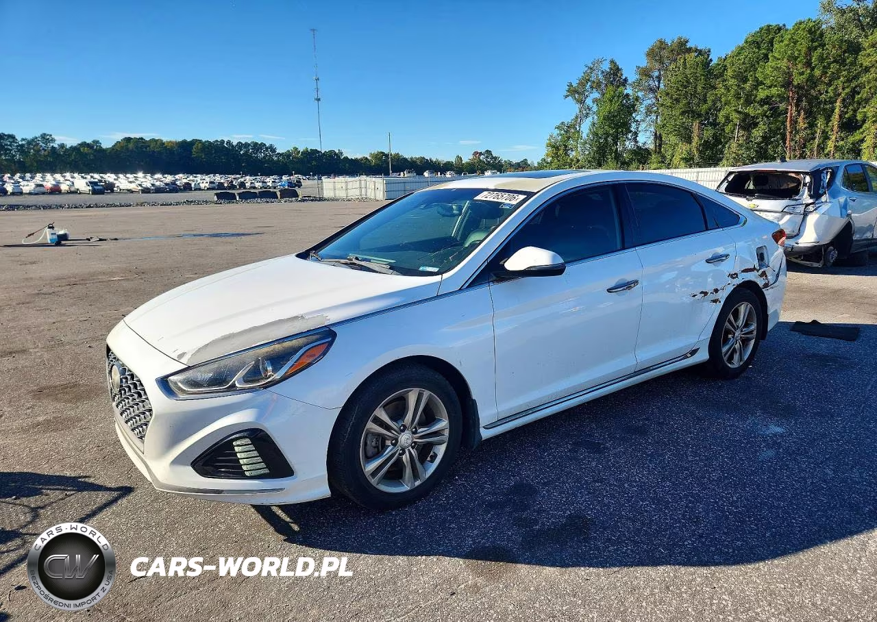 2019 Hyundai Sonata Sport VIN:5NPE34AF0KH815621 - 1