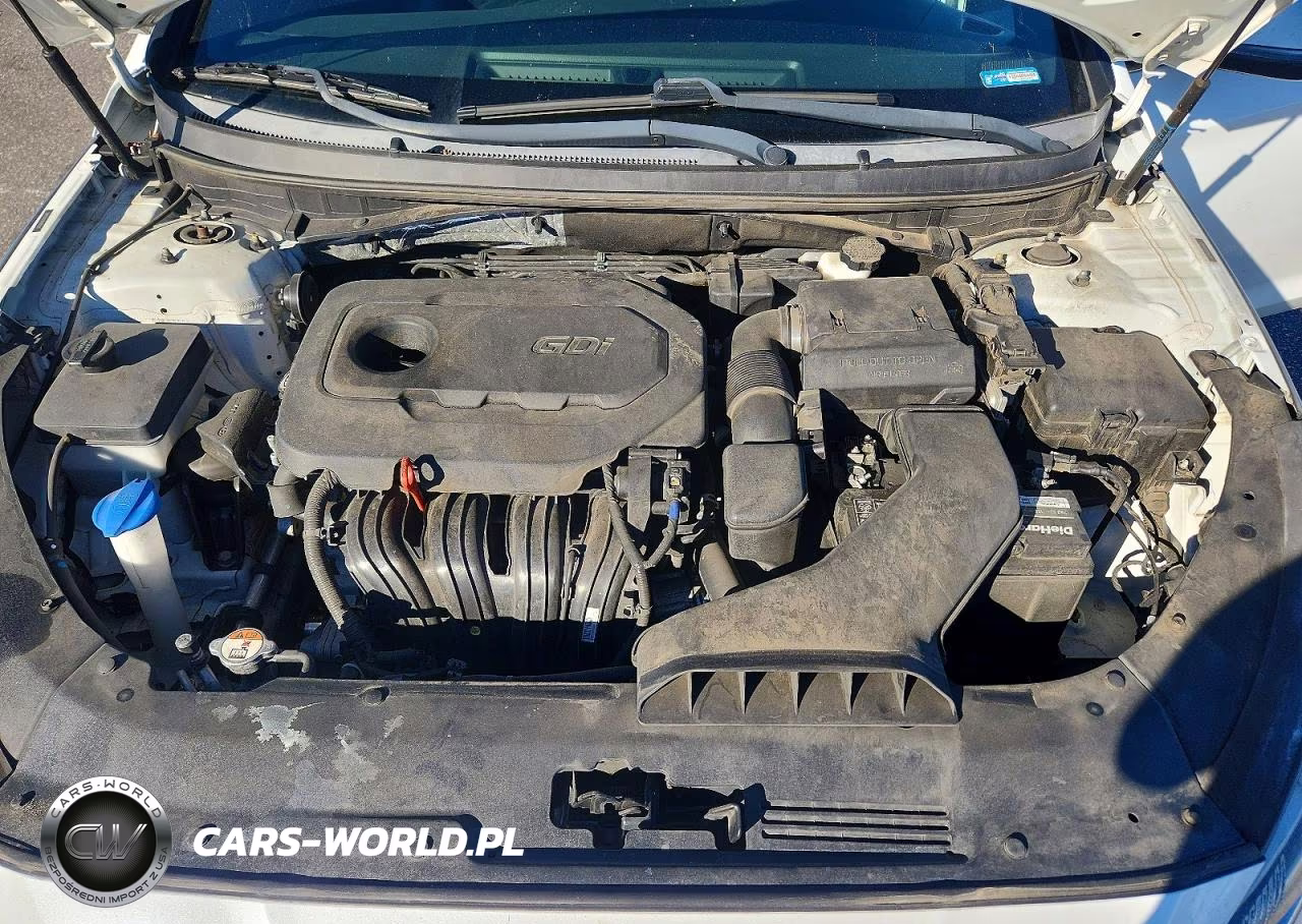 2019 Hyundai Sonata Sport VIN:5NPE34AF0KH815621 - 11