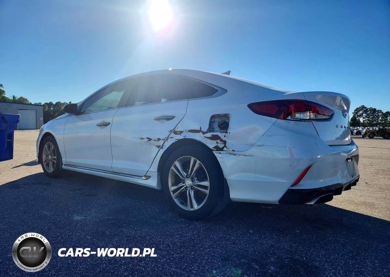 2019 Hyundai Sonata Sport VIN:5NPE34AF0KH815621 - 2