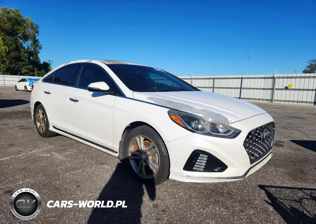 2019 Hyundai Sonata Sport VIN:5NPE34AF0KH815621 - 4