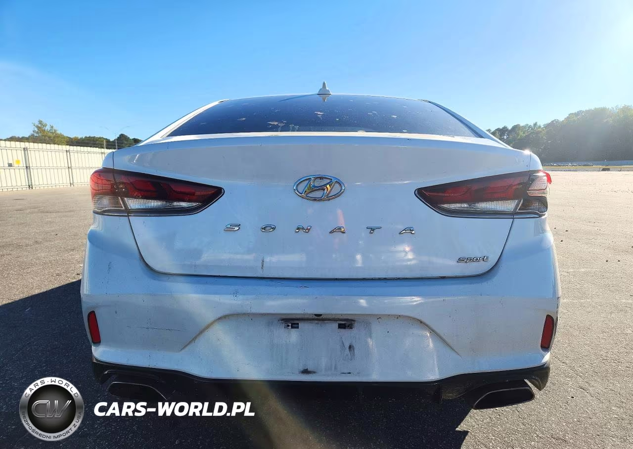 2019 Hyundai Sonata Sport VIN:5NPE34AF0KH815621 - 6