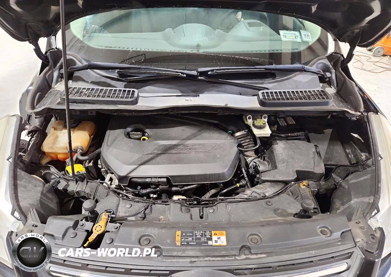 2014 Ford Escape Se VIN:1FMCU9GX6EUE22827 - 12