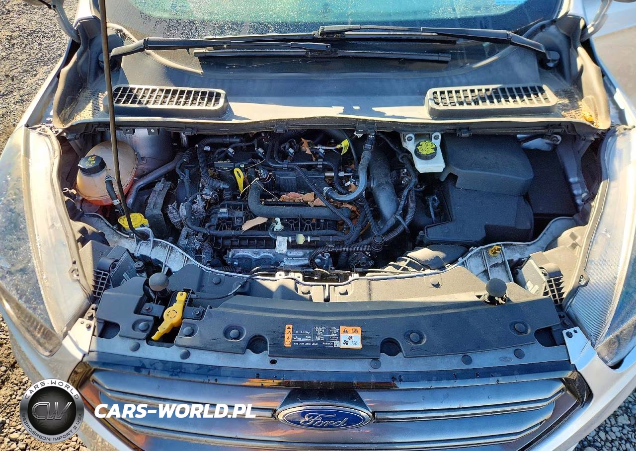 2019 Ford Escape Sel VIN:1FMCU9HD5KUC43663 - 12