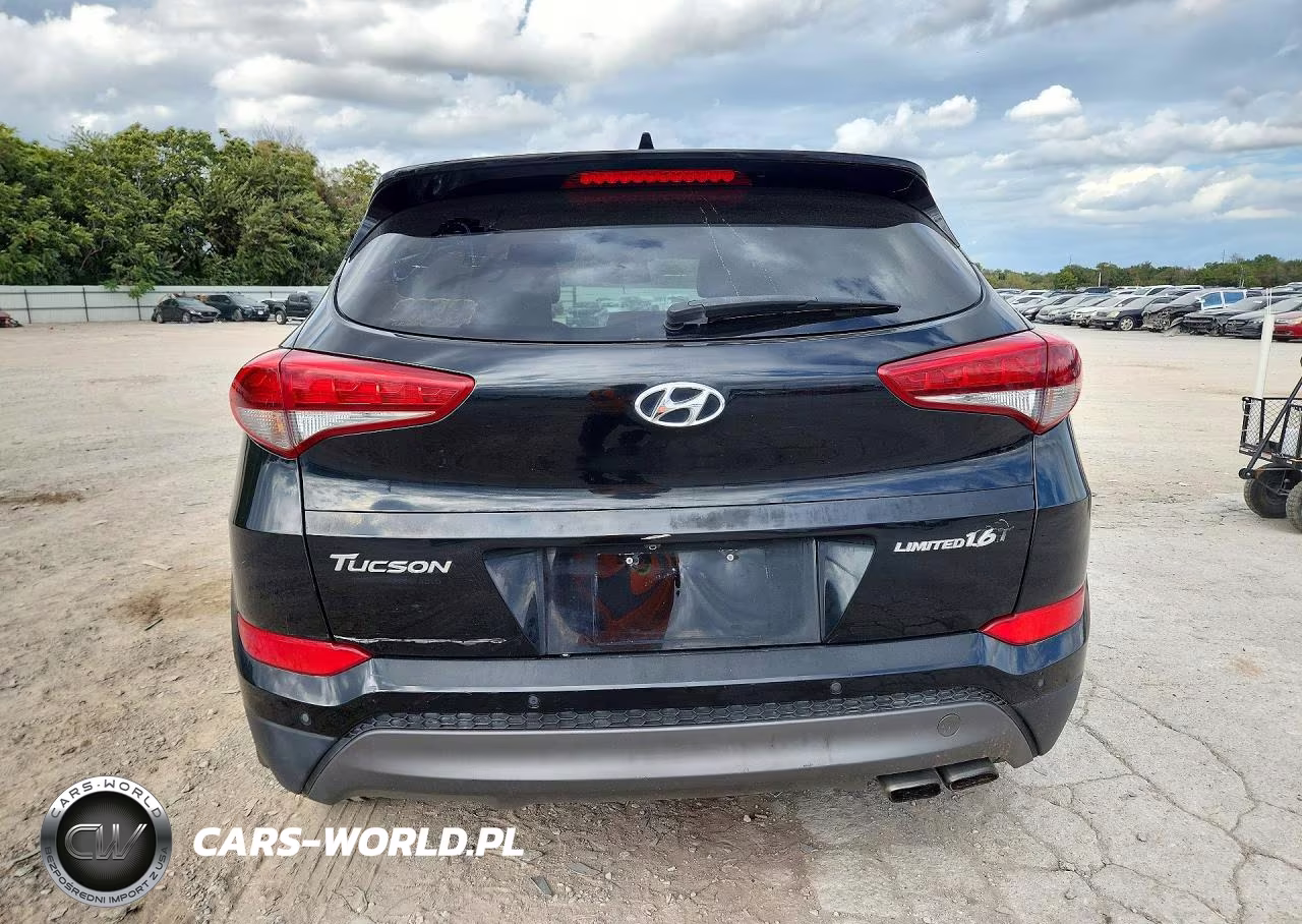 2016 Hyundai Tucson Limited VIN:KM8J33A28GU103341 - 6