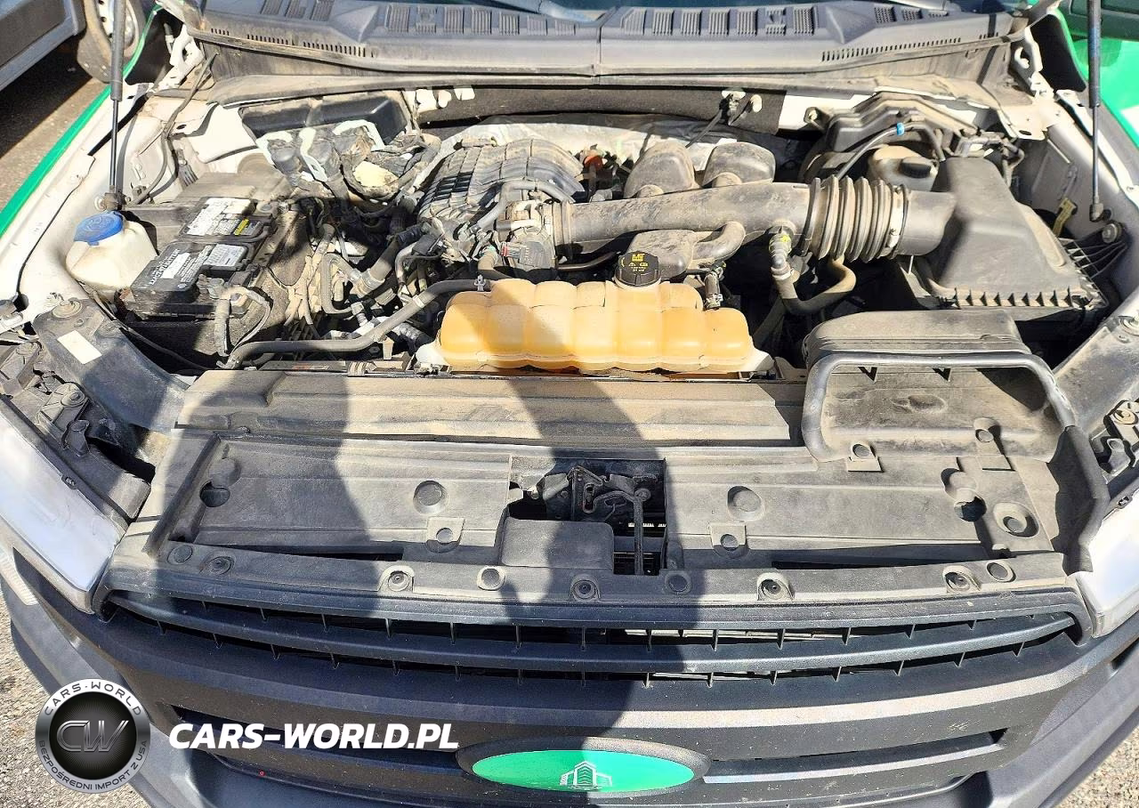 2019 Ford F150 Supercrew VIN:1FTEW1EB5KFD39955 - 11