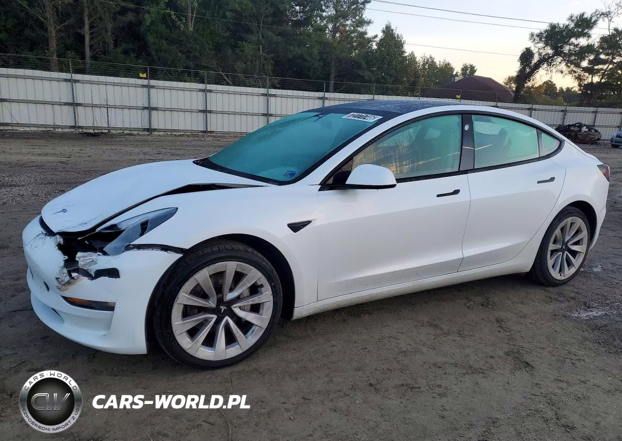 2023 Tesla Model 3 VIN:5YJ3E1EA9PF447492 - 1
