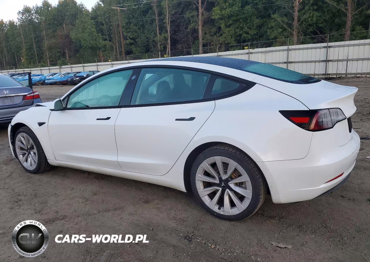 2023 Tesla Model 3 VIN:5YJ3E1EA9PF447492 - 2