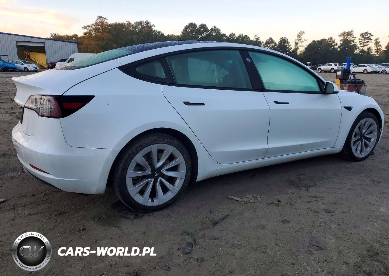 2023 Tesla Model 3 VIN:5YJ3E1EA9PF447492 - 3