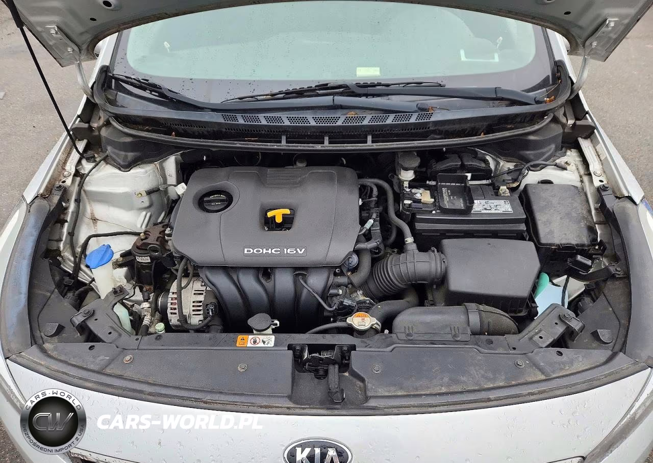 2017 Kia Forte Lx VIN:3KPFK4A77HE083369 - 11