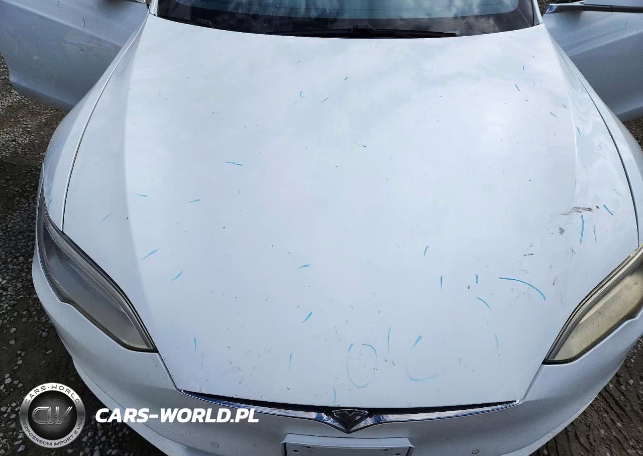 2020 Tesla Model S VIN:5YJSA1E43LF364975 - 11