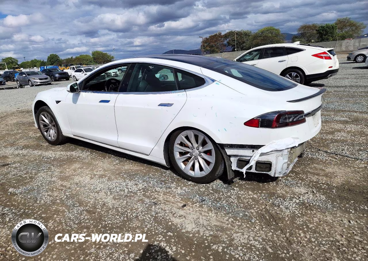 2020 Tesla Model S VIN:5YJSA1E43LF364975 - 2